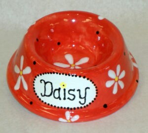 Daisy's Dish
